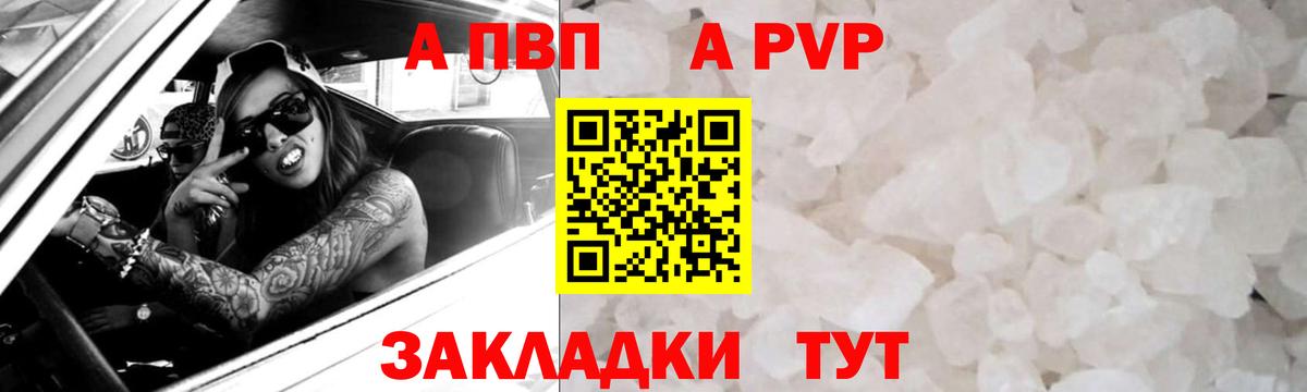 Alfa_PVP СК КРИС Горячий Ключ