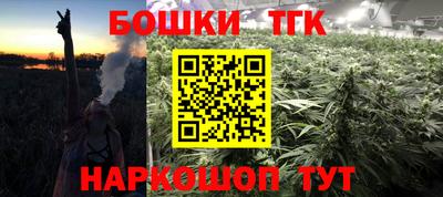 ECSTASY Бердск