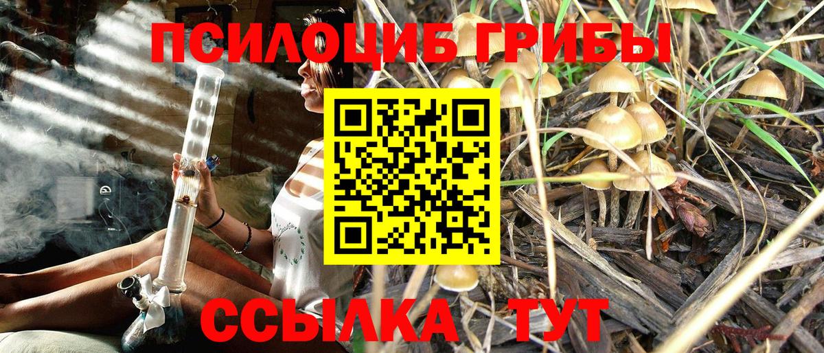 Горячий Ключ  Псилоцибиновые грибы Psilocybe  Псилоцибиновые грибы Psilocybe  Вход с VPN 